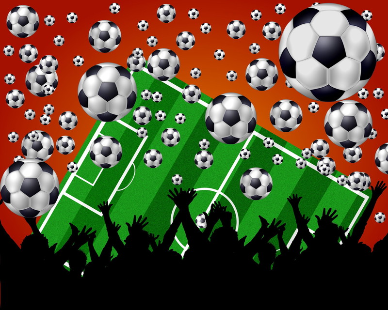 湧き上がるサッカーファン